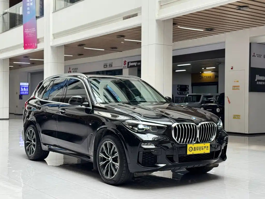 BMW X5 (Import) — миниатюра 3