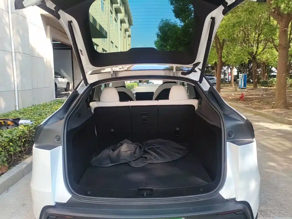Tesla Model Y — миниатюра 19
