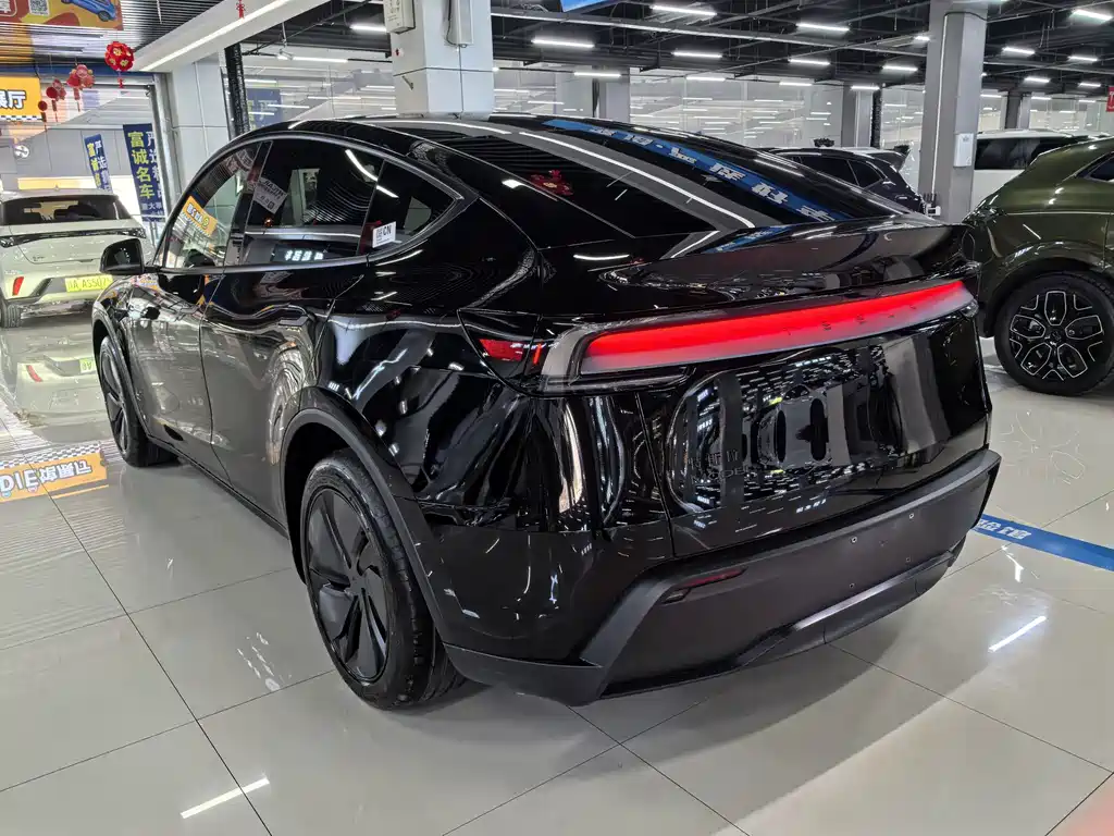 Tesla Model Y — миниатюра 6
