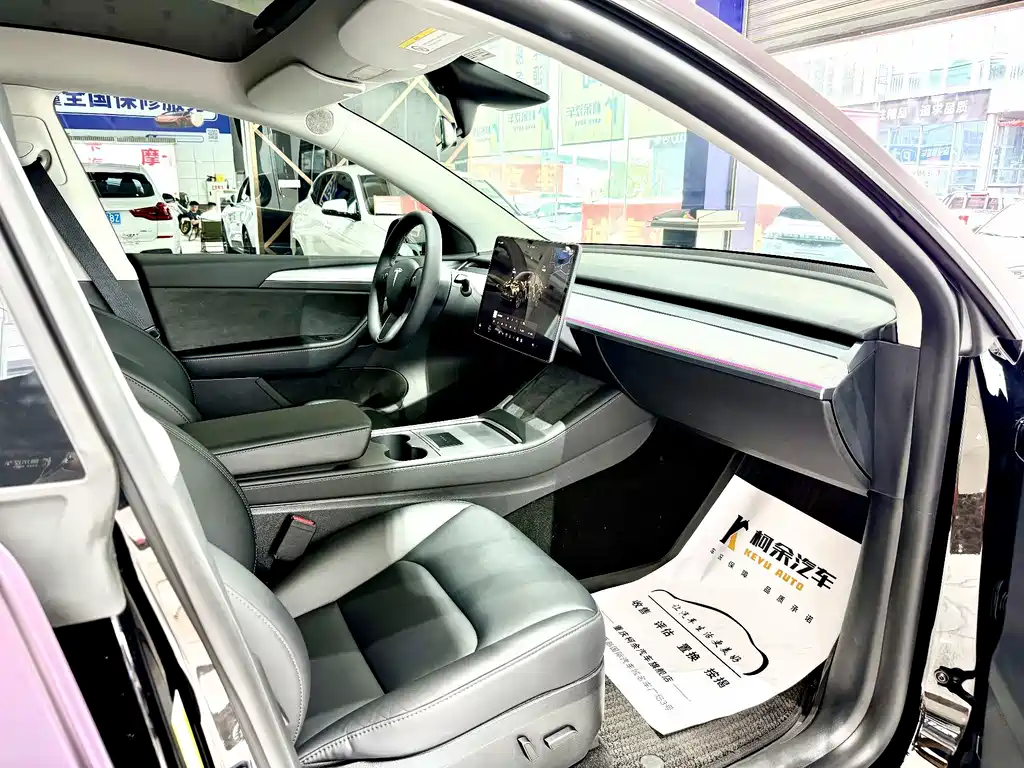 Tesla Model Y — миниатюра 11