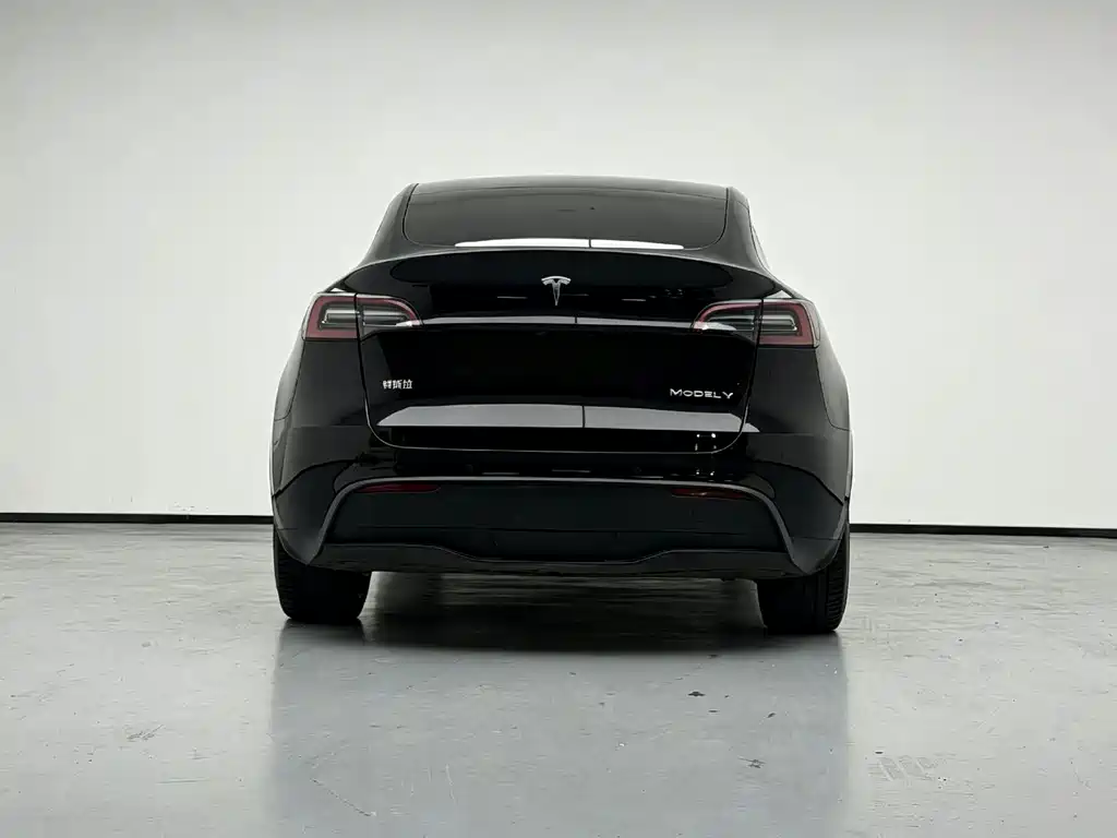 Tesla Model Y — миниатюра 2