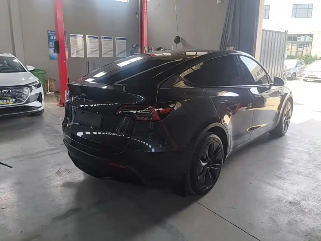 Tesla Model Y — миниатюра 7