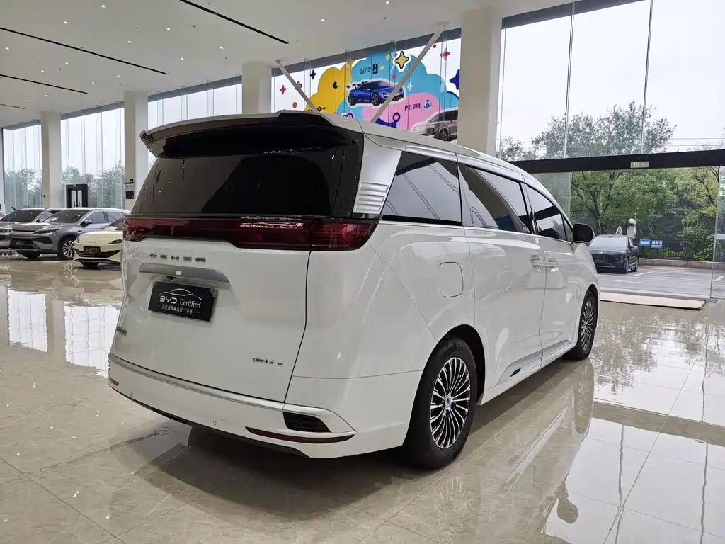 Denza Denza D9 — миниатюра 5