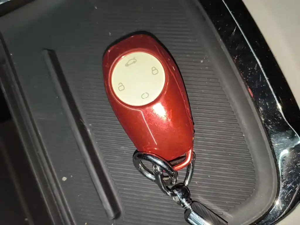 Leapmotor Leapmotor C11 — миниатюра 9