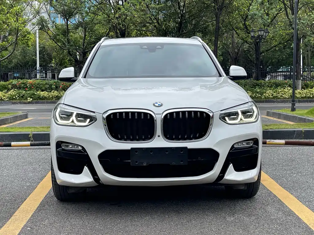 BMW X3 2018 xDrive30i Lead M Sport V