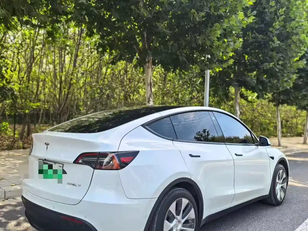Tesla Model Y — миниатюра 4