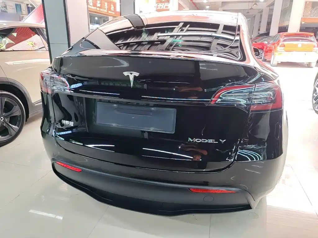 Tesla Model Y — миниатюра 6