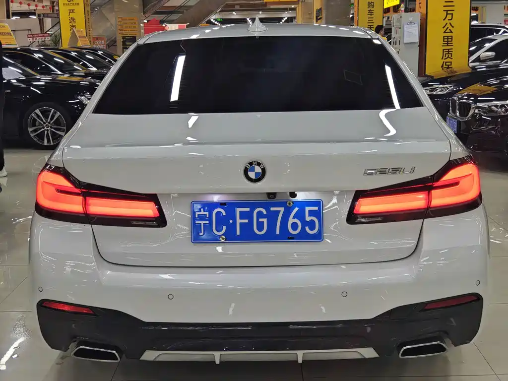 BMW 5 Series — миниатюра 14