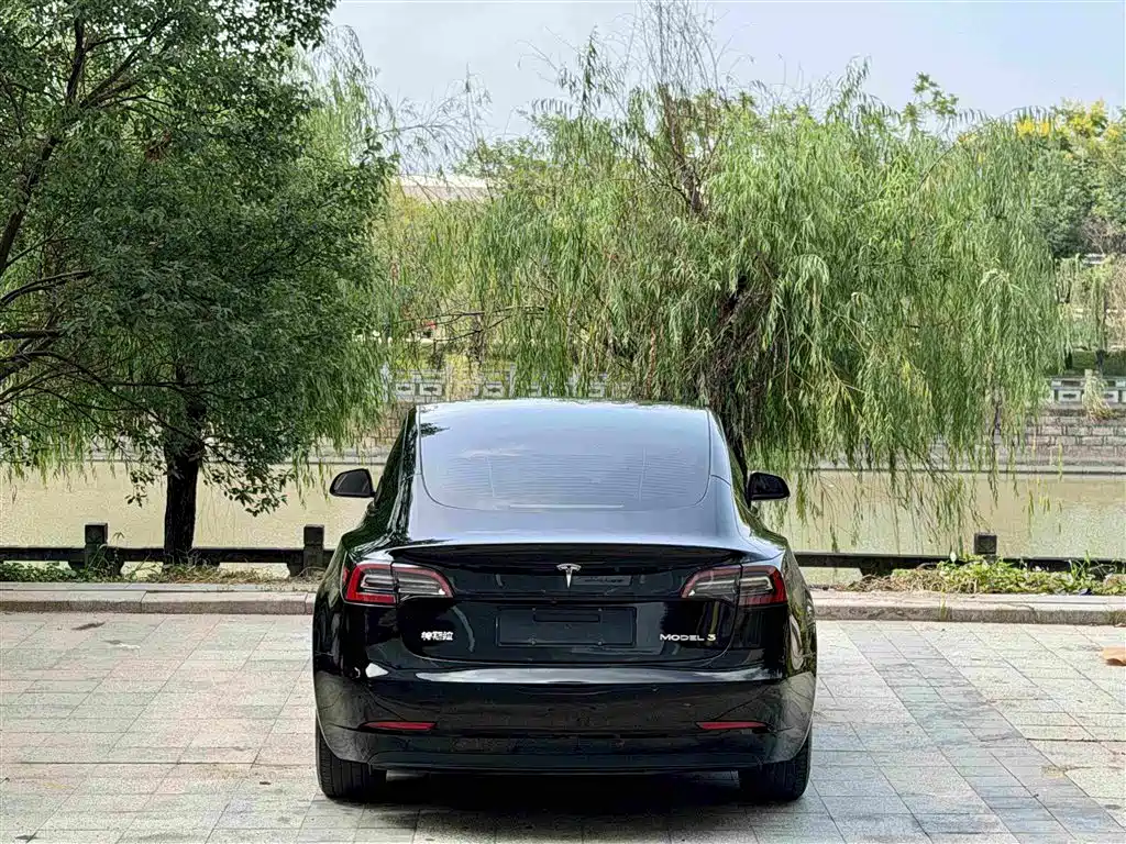 Tesla Model 3 — миниатюра 3
