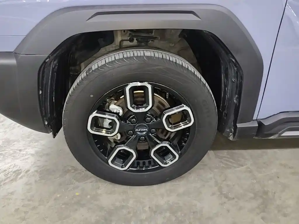 Haval Cool Dog — миниатюра 23