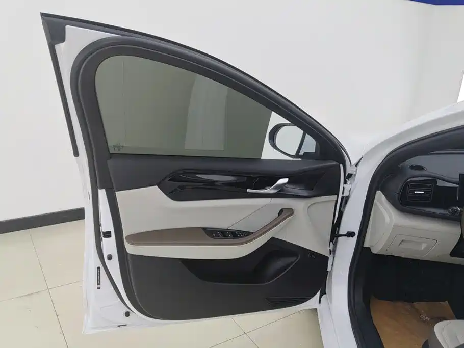 BYD Qin Plus PLUS 2024 DM-i 55KM Lead