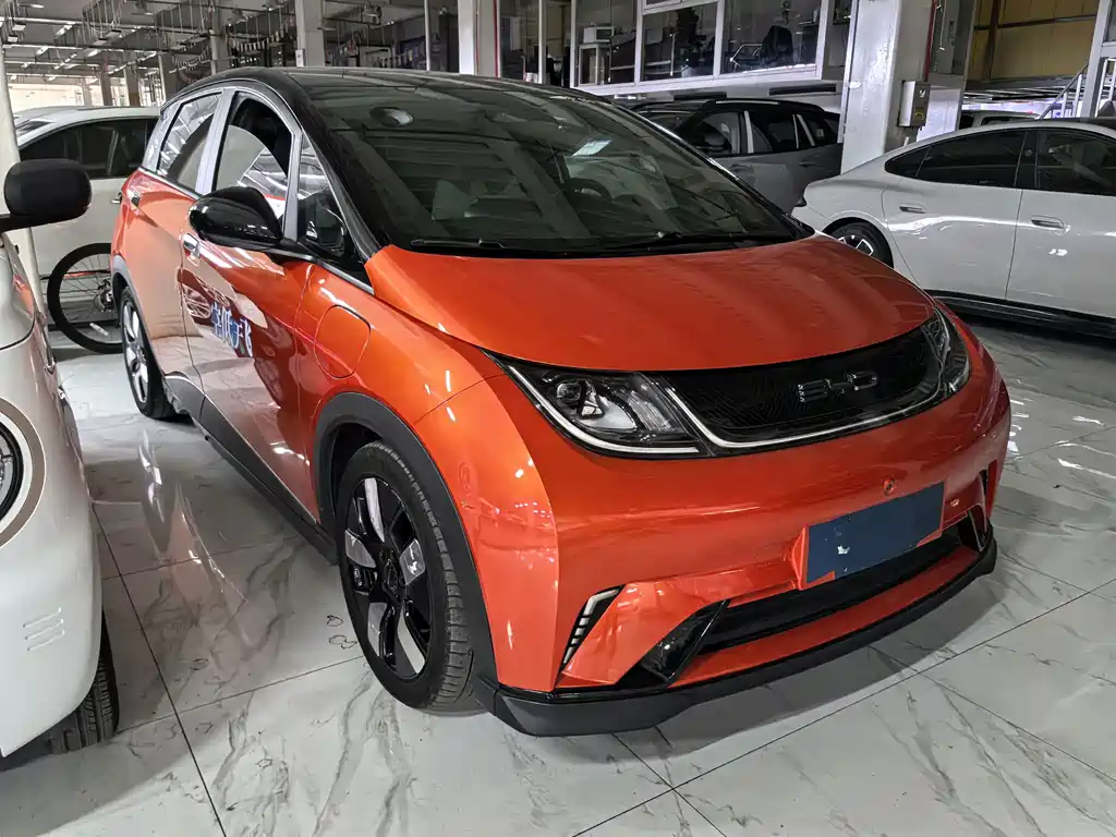 BYD Dolphin — миниатюра 3