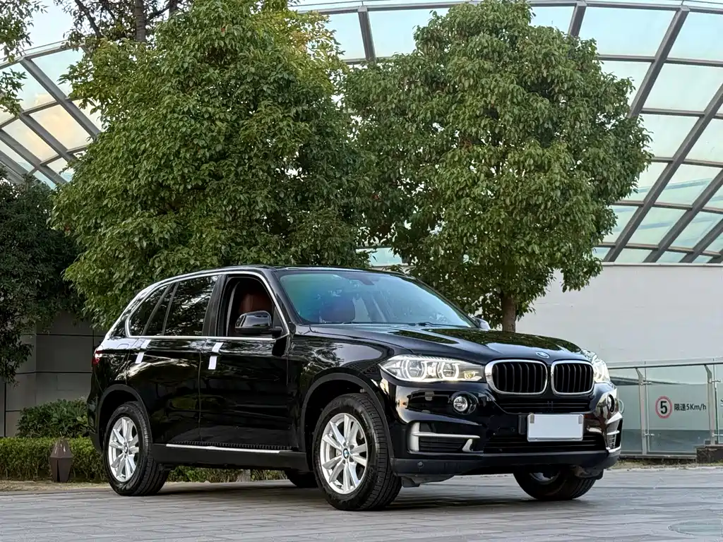 BMW X5 (Import) — миниатюра 3