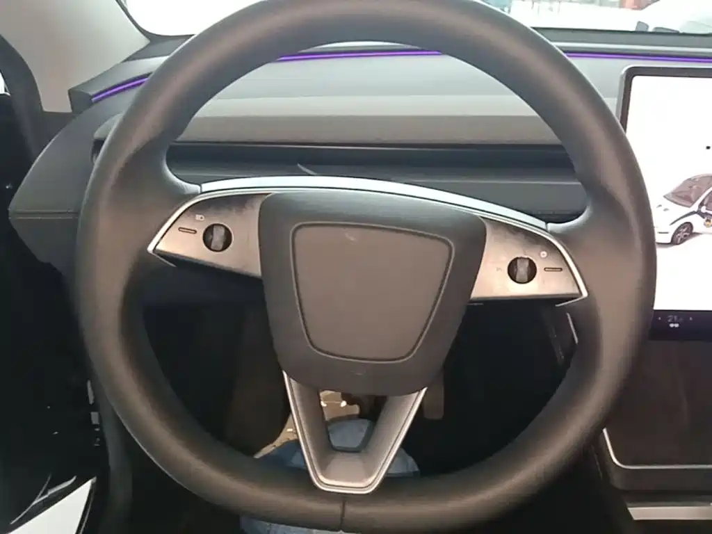 Tesla Model Y — миниатюра 11