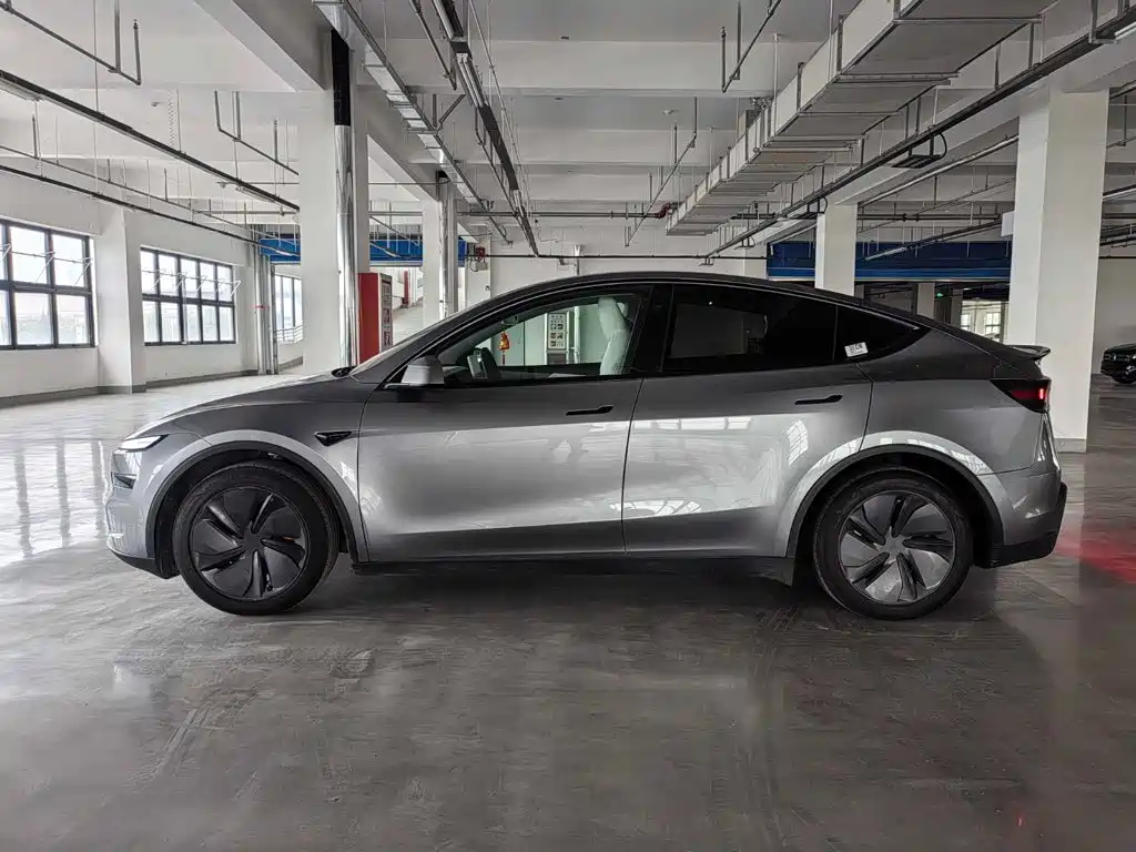 Tesla Model Y — миниатюра 3