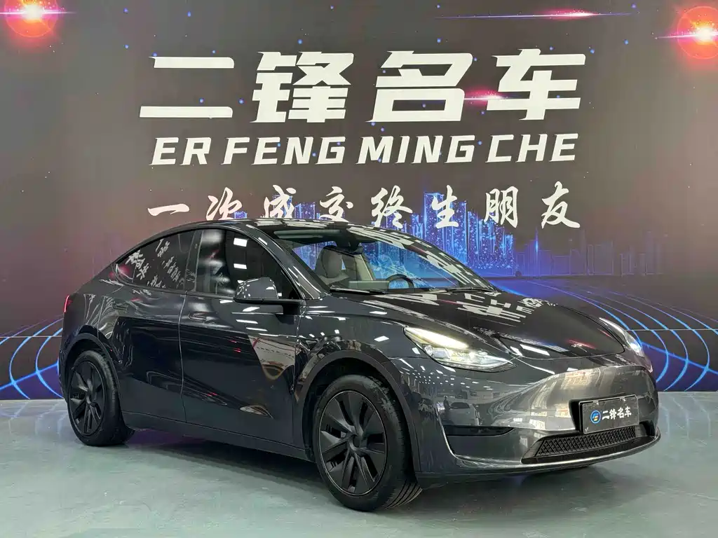 Tesla Model Y — миниатюра 3
