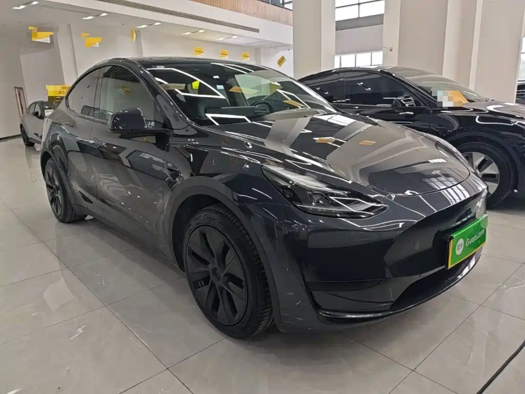 Tesla Model Y — миниатюра 4