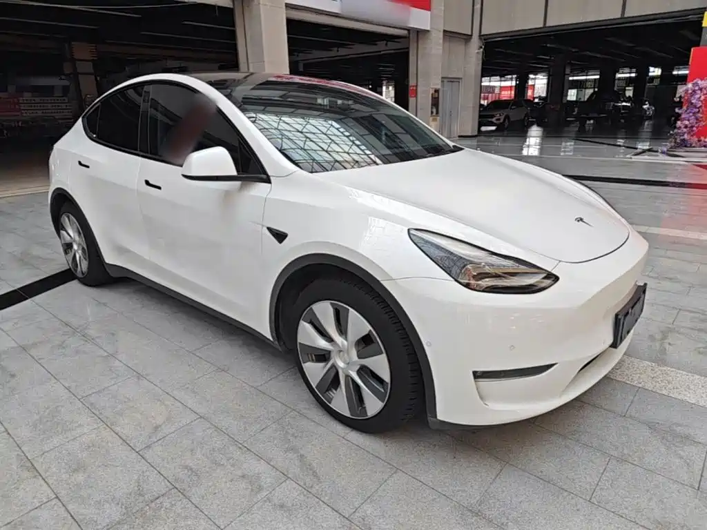 Tesla Model Y — миниатюра 4