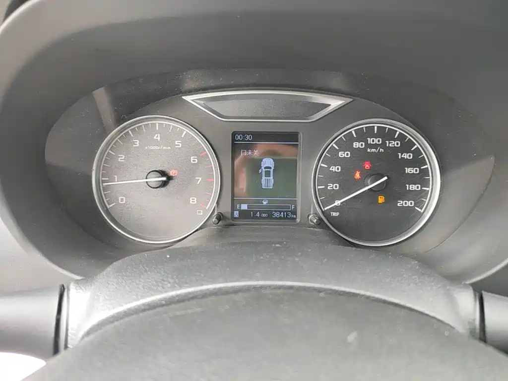 Dongfeng Rich 6 — миниатюра 12