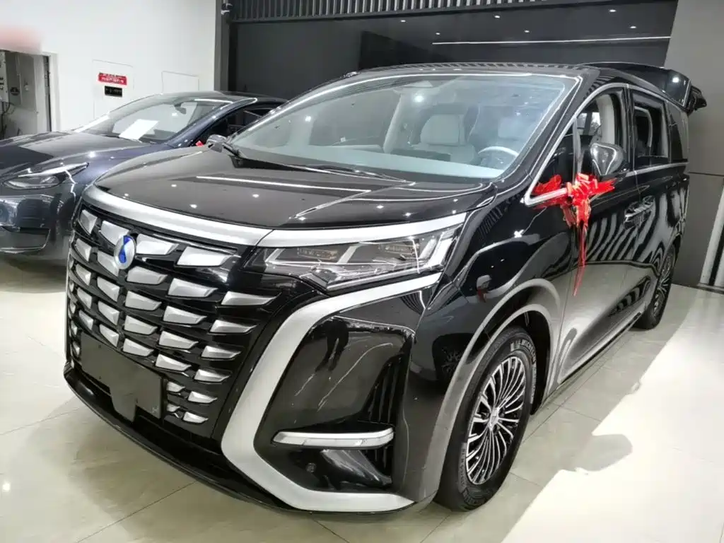Denza Denza D9 — миниатюра 2