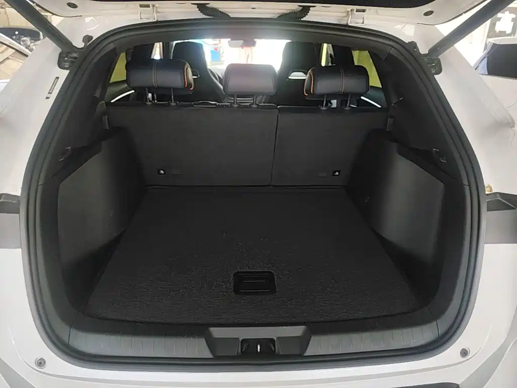BYD PLUS New Energy — миниатюра 19