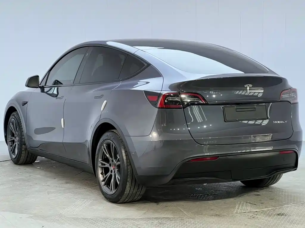 Tesla Model Y — миниатюра 7