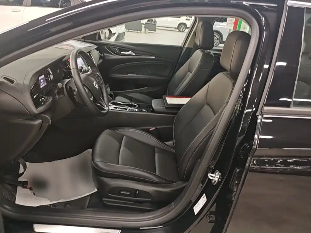 Buick Regal — миниатюра 15