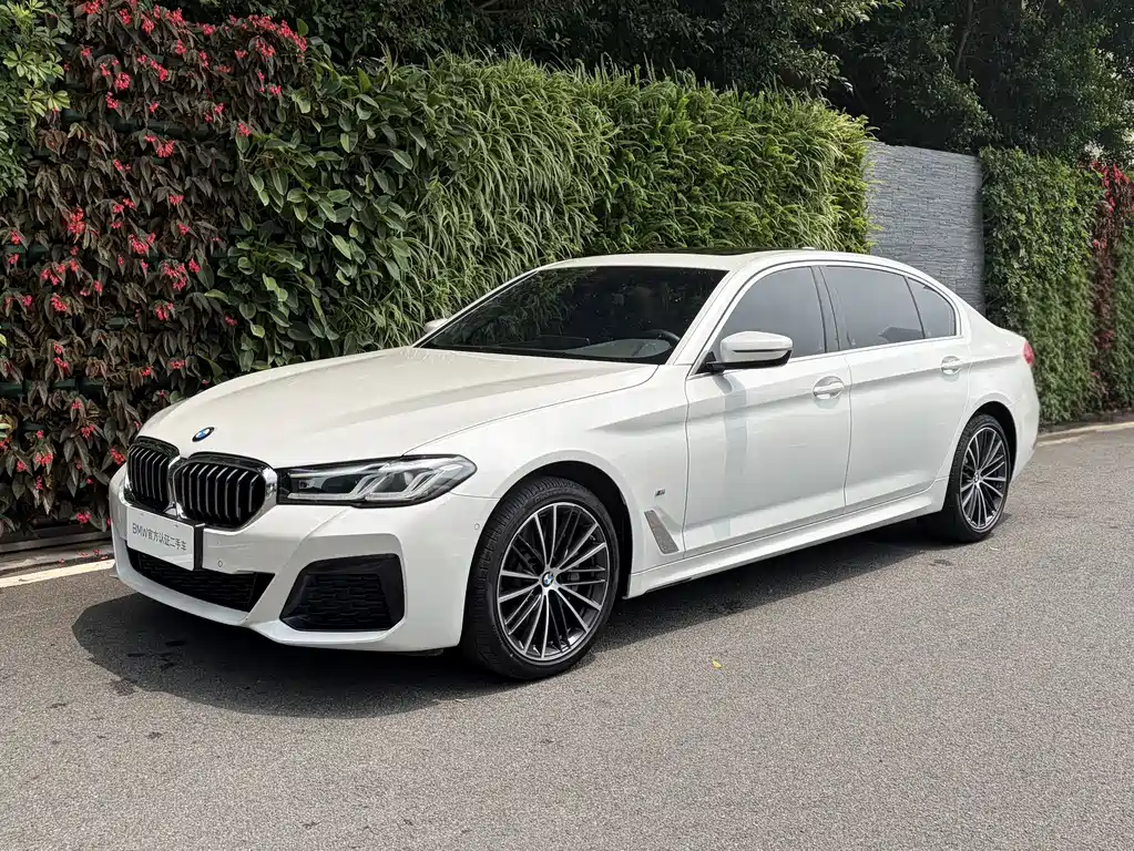 Купить BMW 5 Series