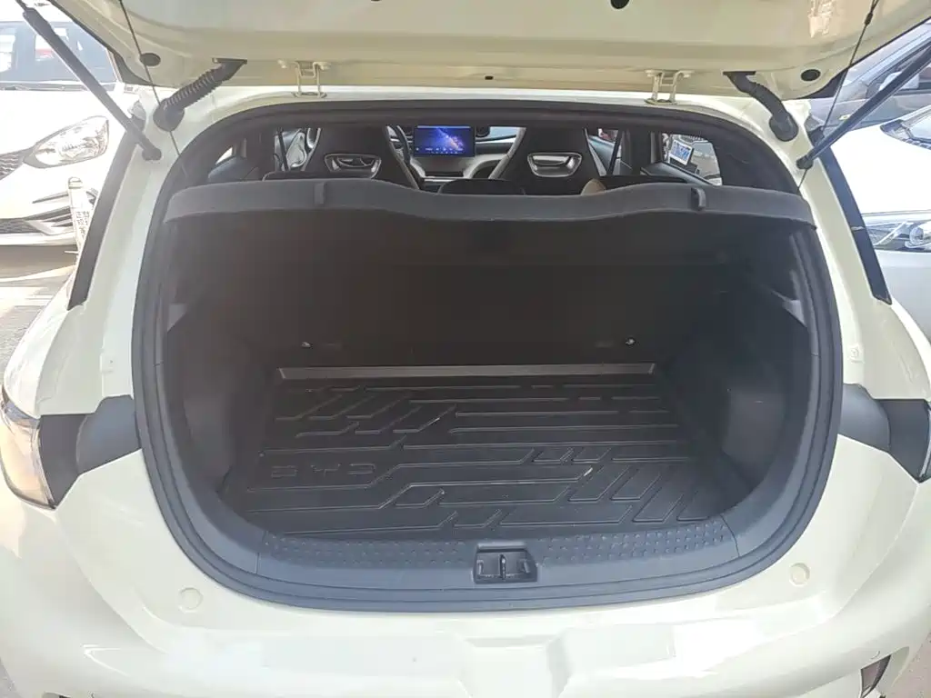 BYD Dolphin — миниатюра 19