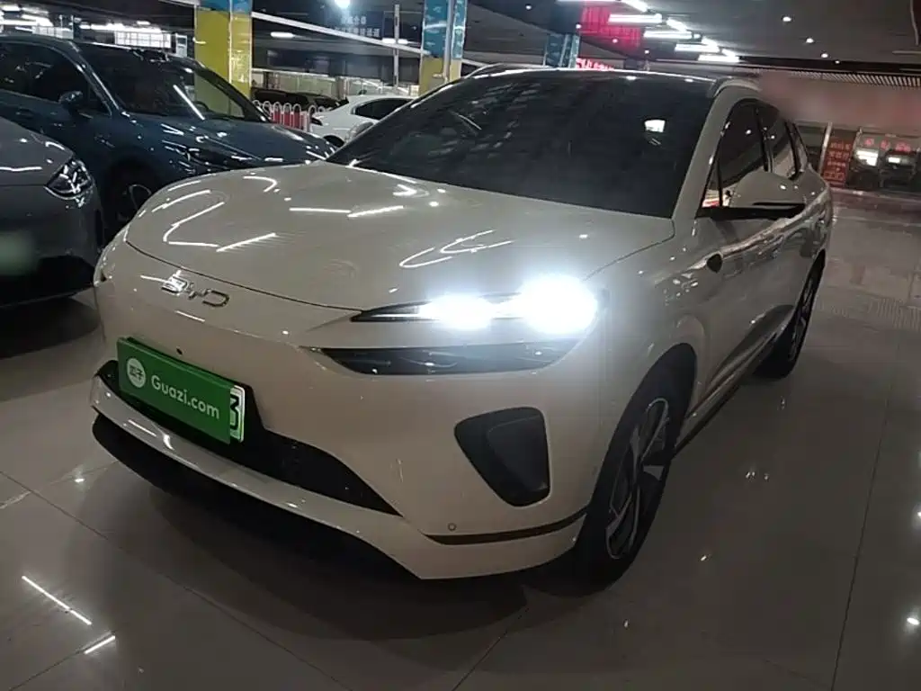 BYD Haisi 06 — миниатюра 2