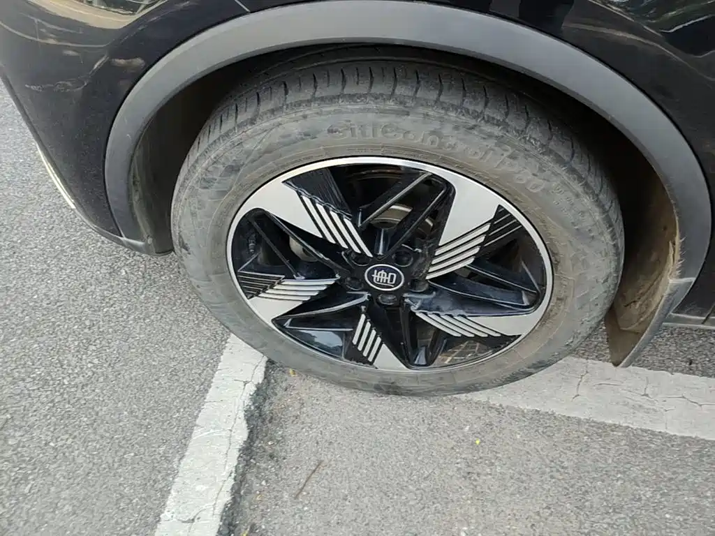 BYD Tang New Energy — миниатюра 23