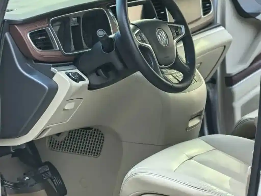 Buick GL8 — миниатюра 6