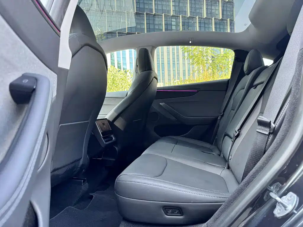 Tesla Model Y — миниатюра 6