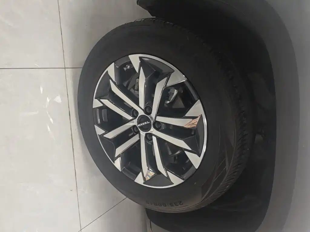 Haval Big Dog — миниатюра 23