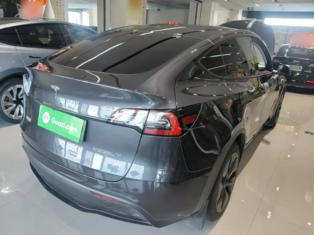 Tesla Model Y — миниатюра 7
