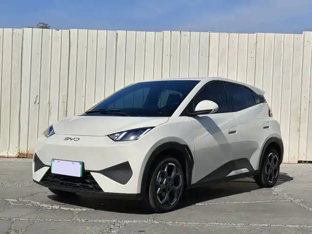 BYD Seagull