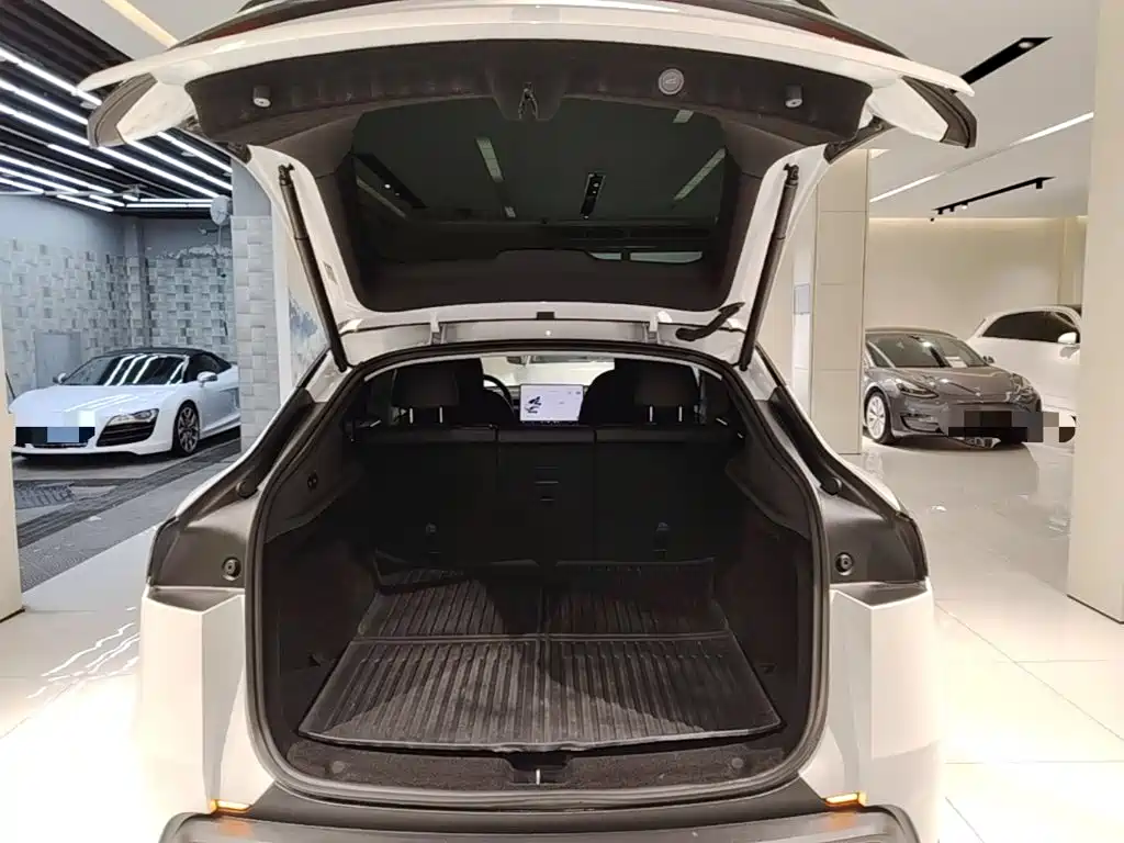 Tesla Model Y — миниатюра 19
