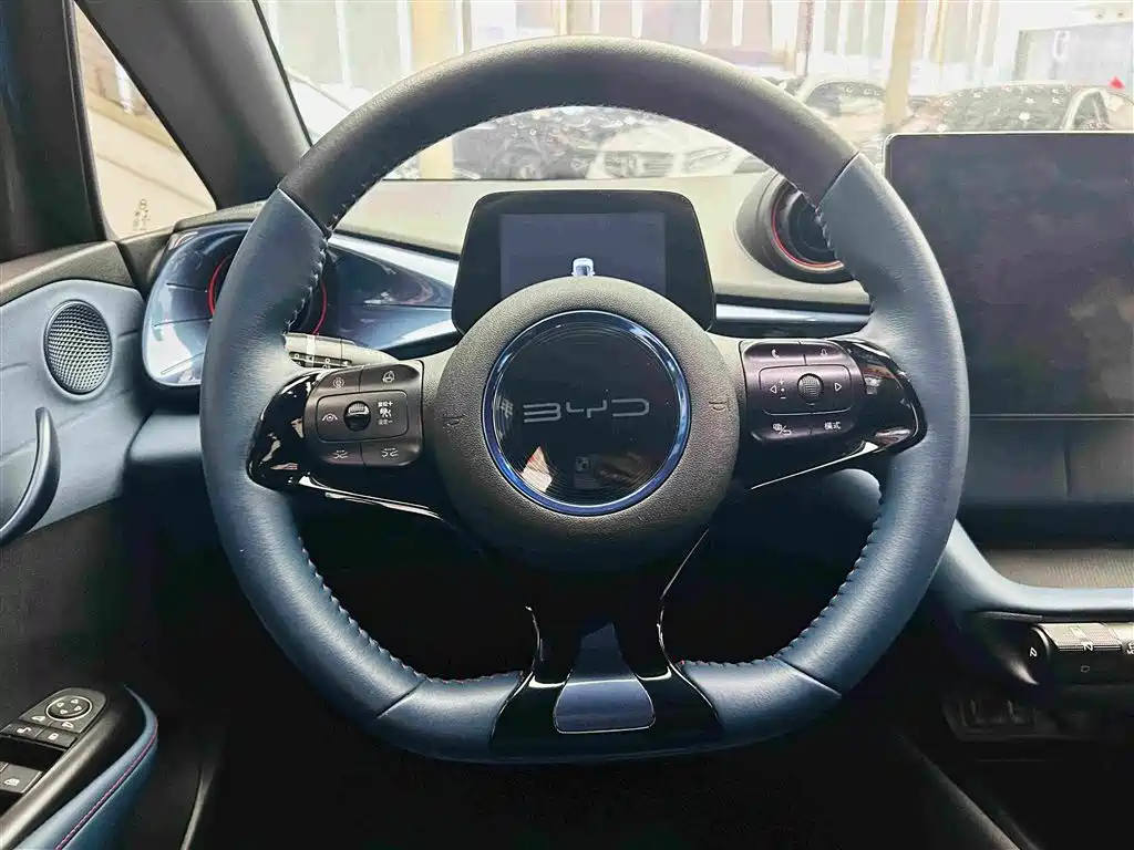 BYD Dolphin — миниатюра 16