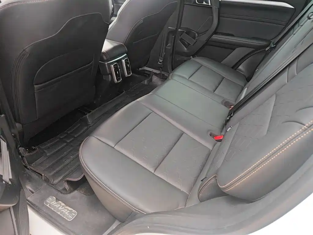 Haval Big Dog — миниатюра 17