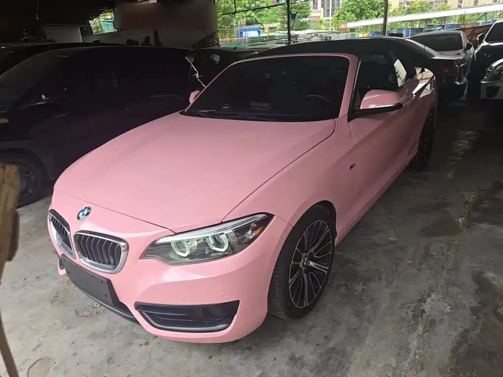 BMW 2 Series (Import)