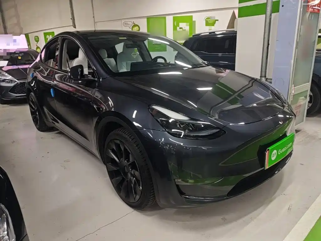 Tesla Model Y — миниатюра 4