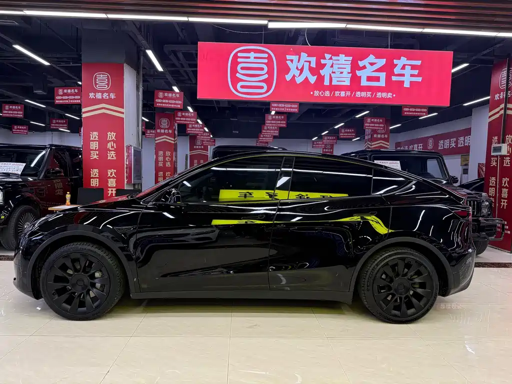 Tesla Model Y — миниатюра 9