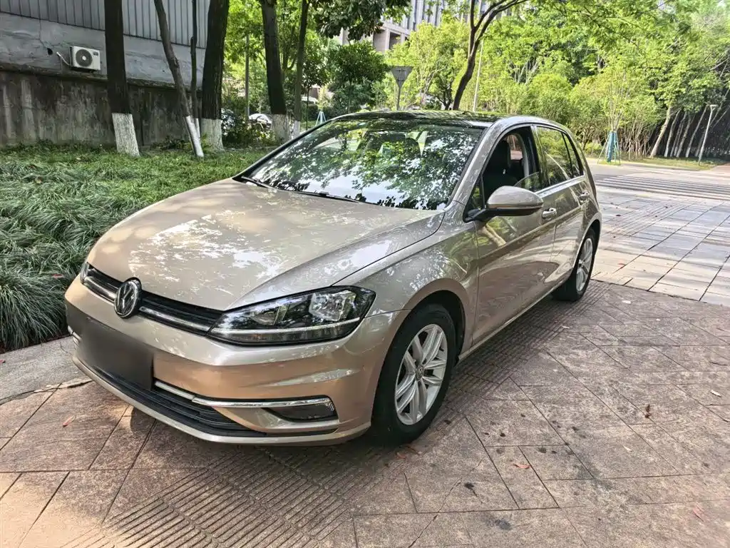 Volkswagen Golf 2018 1.6L Auto Comfort Type