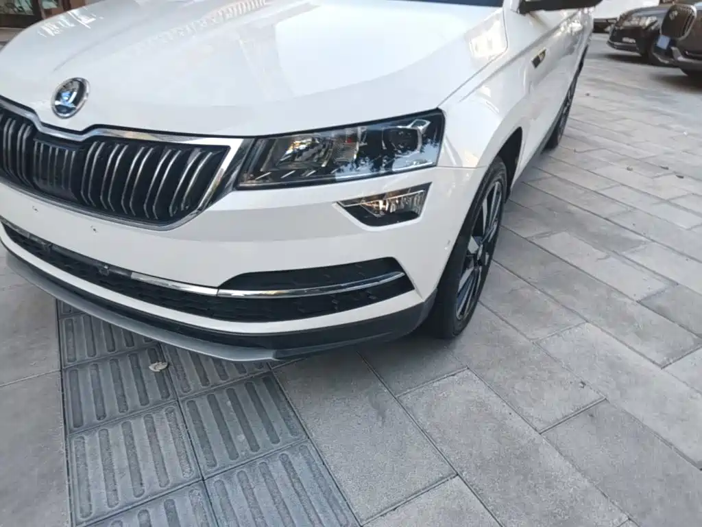 Skoda Karoq — миниатюра 24