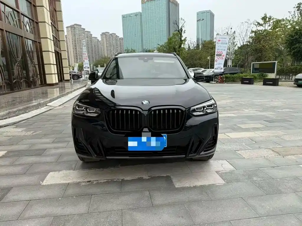 BMW X3 — миниатюра 2