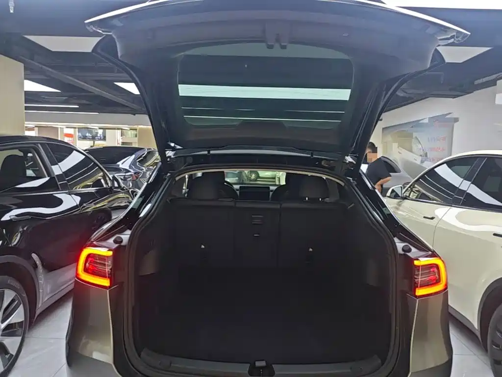 Tesla Model Y — миниатюра 19