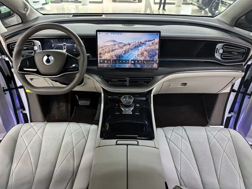 Denza Denza D9 — миниатюра 6