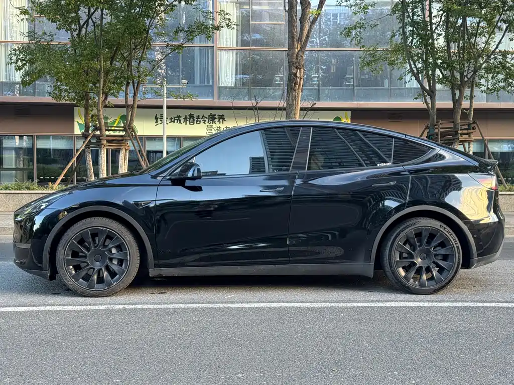 Tesla Model Y — миниатюра 9