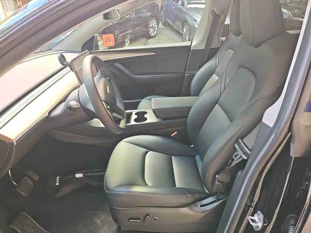 Tesla Model Y — миниатюра 15
