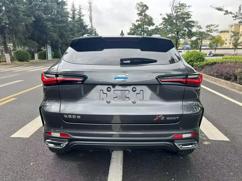 Oshan Oushang X5 — миниатюра 12